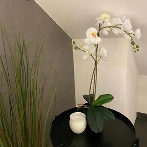 https://eine-schone-wohnung-an-der-birs.hotelsbaselswitzerland.com