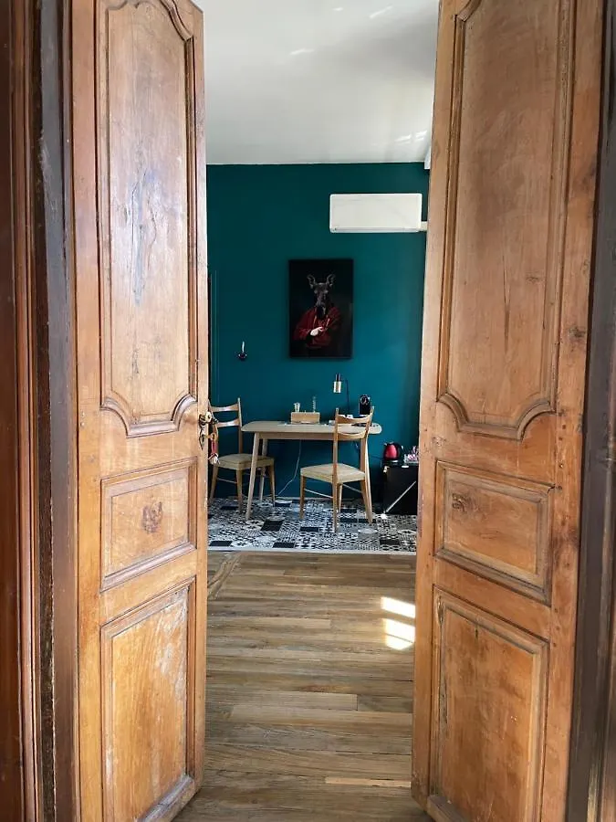 La Maison Aux Murs Anciens Et Ses Chambres Tarbes